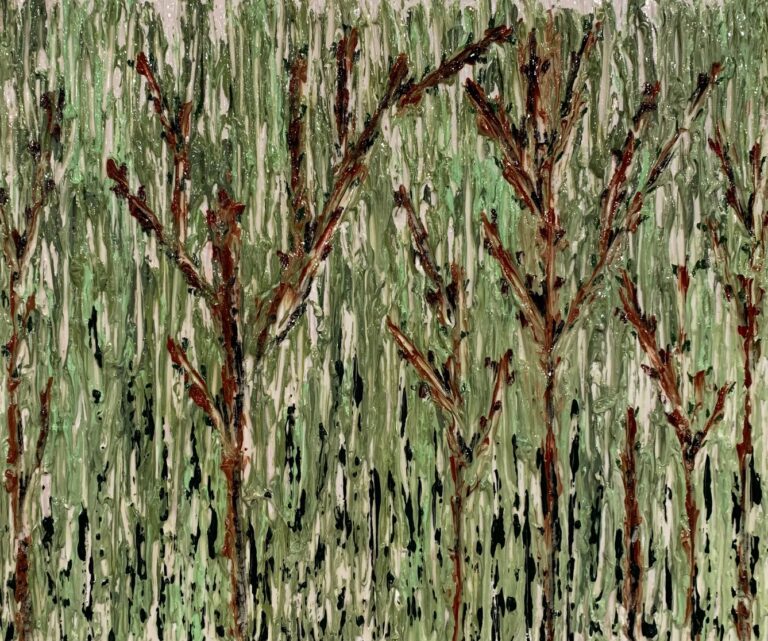 West Coast Bloodwood